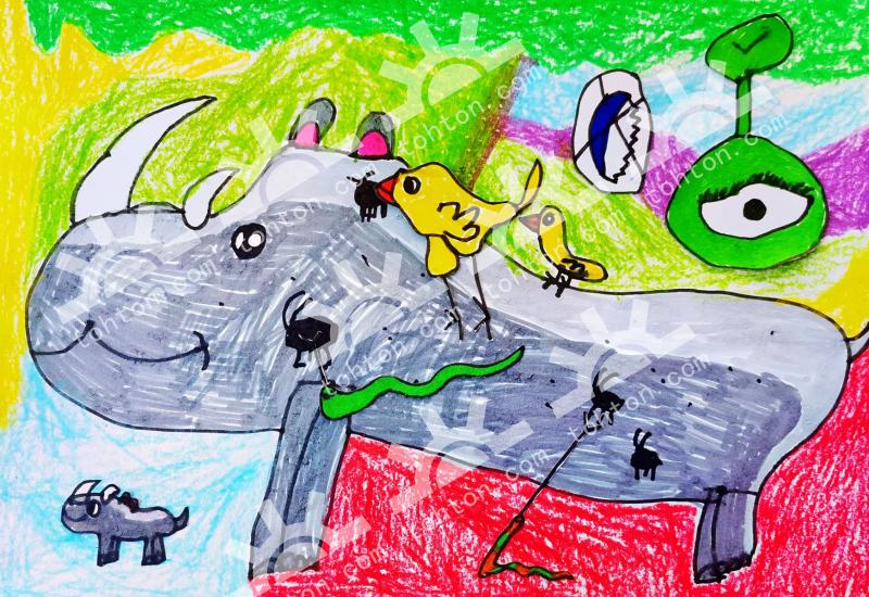 保护犀牛好朋友