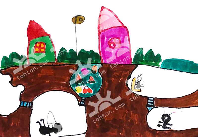 蚂蚁的地下王国