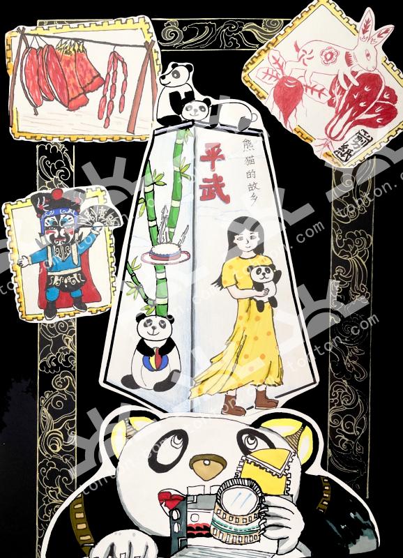 我的家乡我来拍