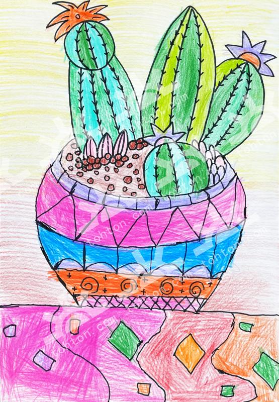 外刚内柔的仙人球