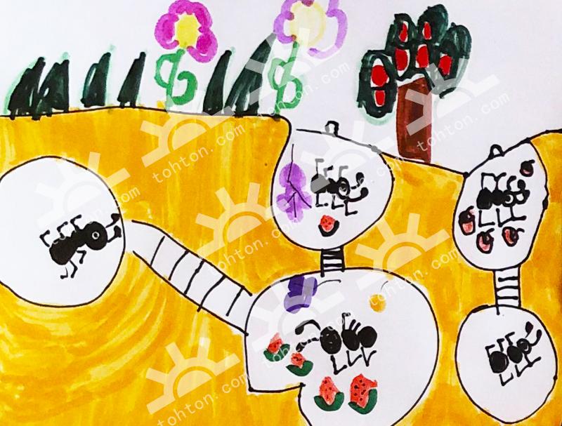 蚂蚁的地下王国