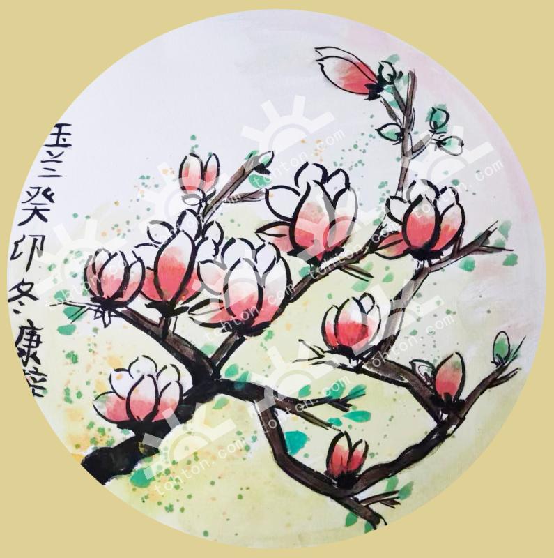 玉兰
