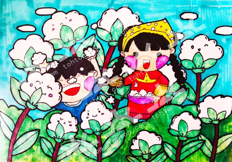 摘棉花