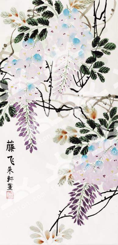 藤飞