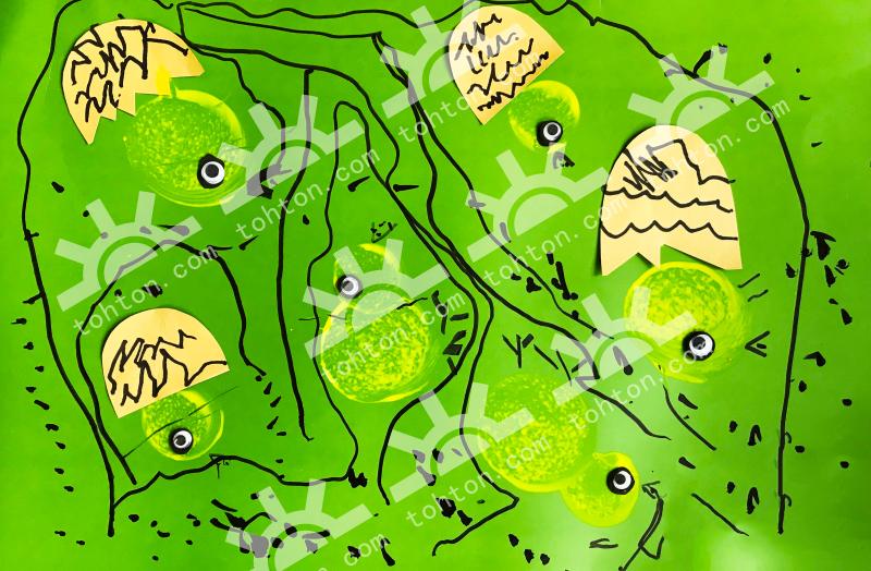 胖乎乎的鸡宝宝