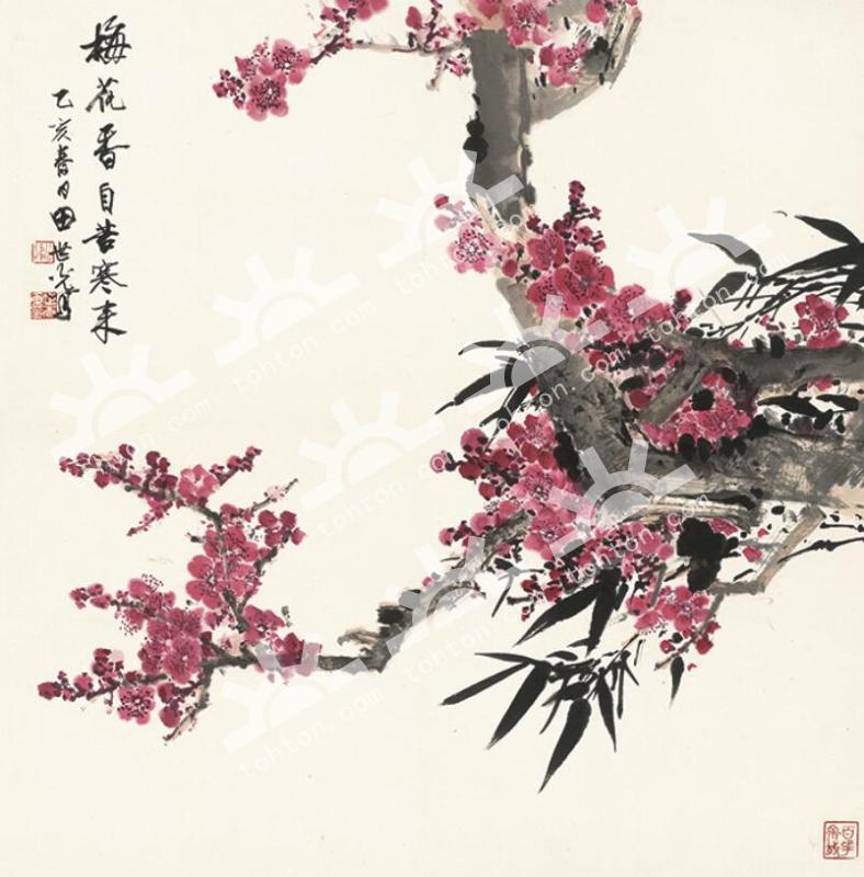 梅花香自苦寒来