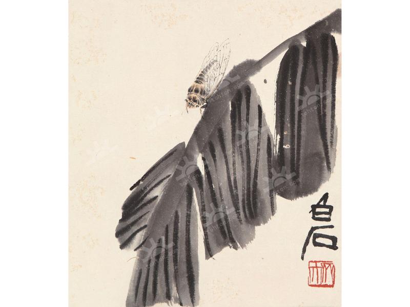 蕉蝉